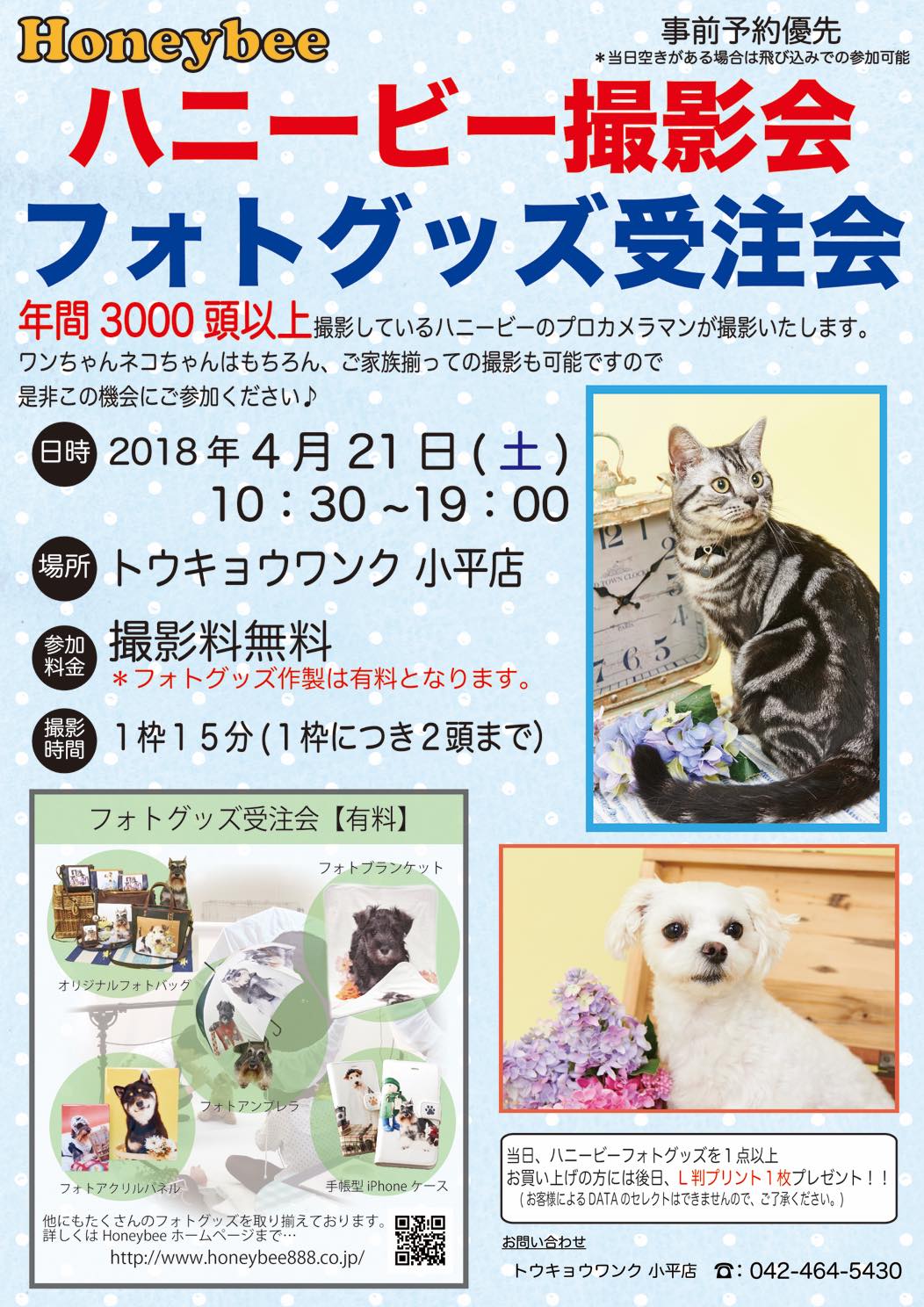 th_ハニービー撮影会_トウキョウワンク小平店(4月)