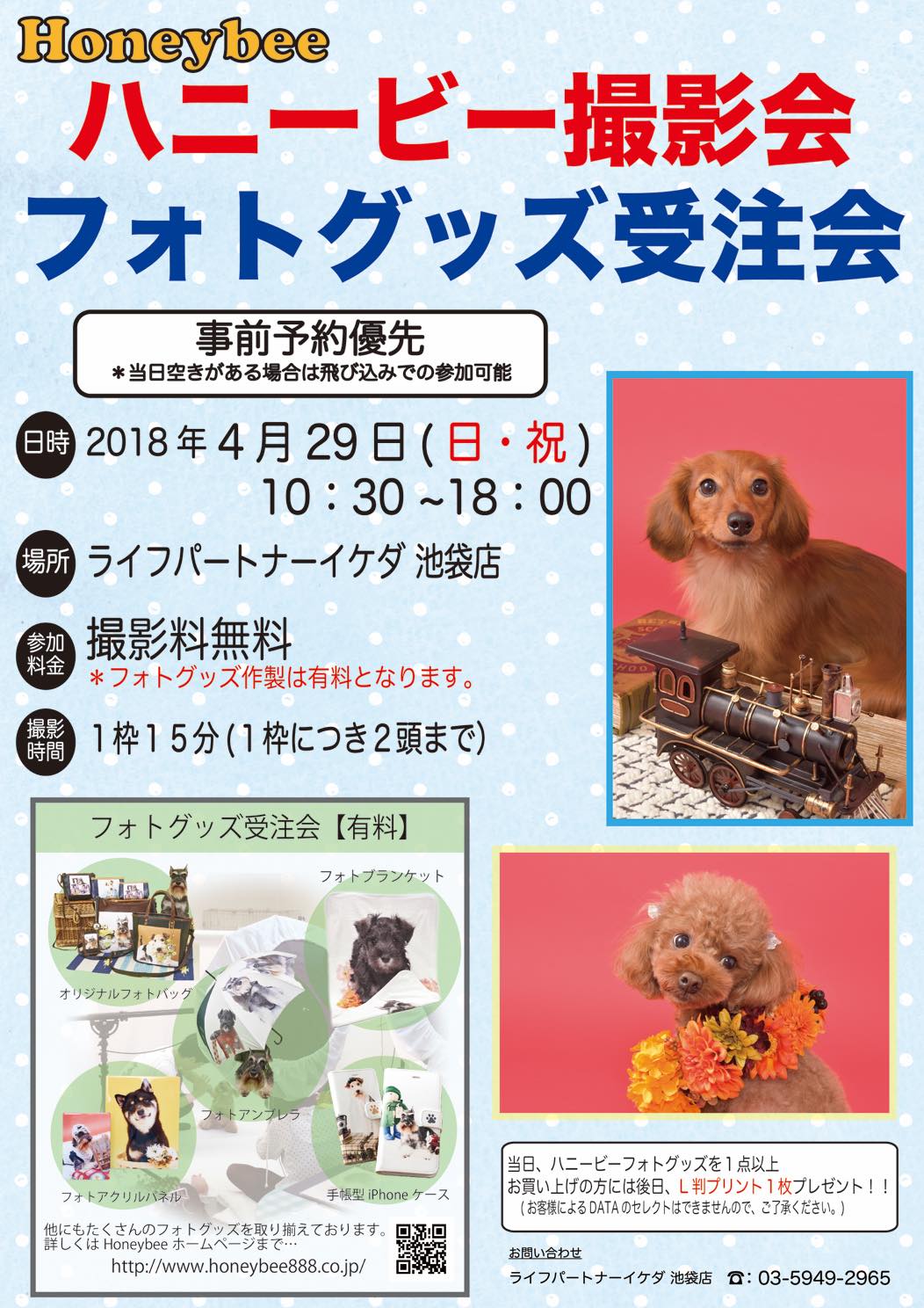 th_ハニービー撮影会_ライフパートナーイケダ池袋店(4月)
