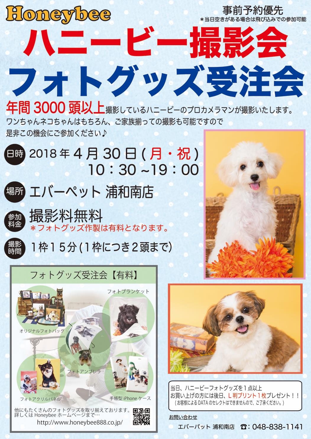 th_ハニービー撮影会_エバーパット浦和南店(4月)