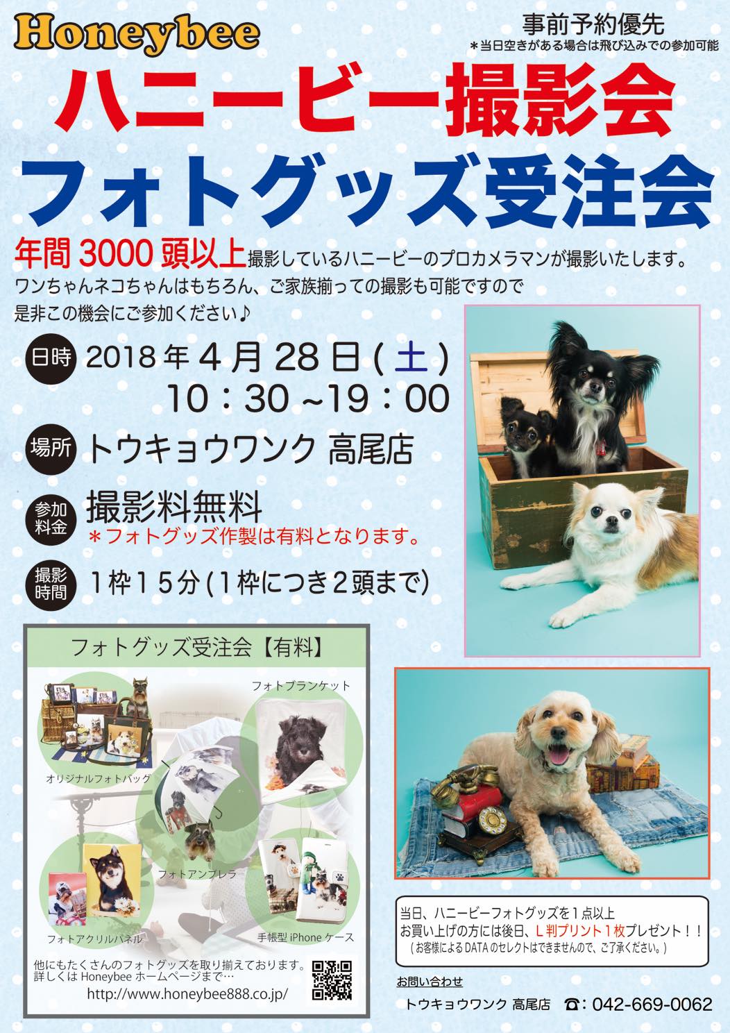 th_ハニービー撮影会_トウキョウワンク高尾店(4月)