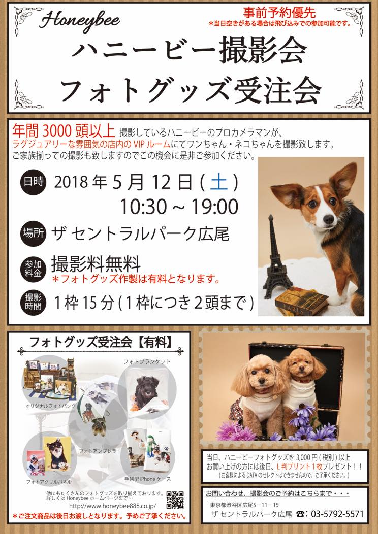 th_ハニービー撮影会_ザ セントラルパーク広尾(5月)