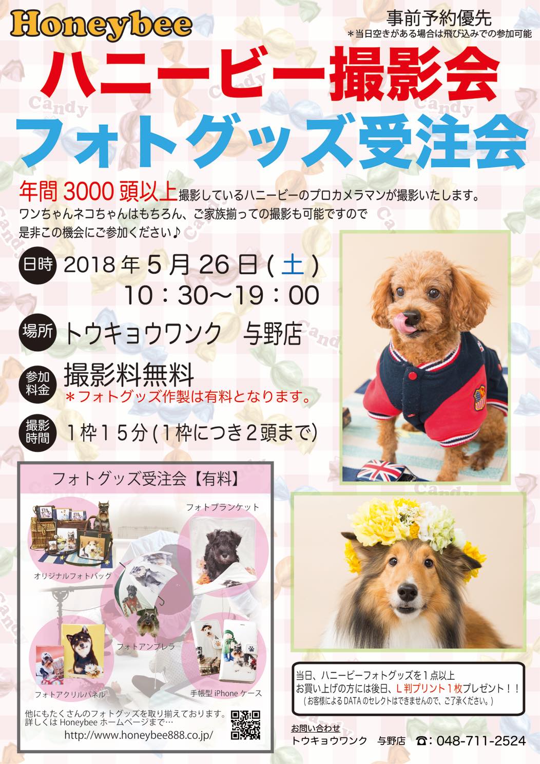th_ハニービー撮影会_トウキョウワンク与野店(5月)