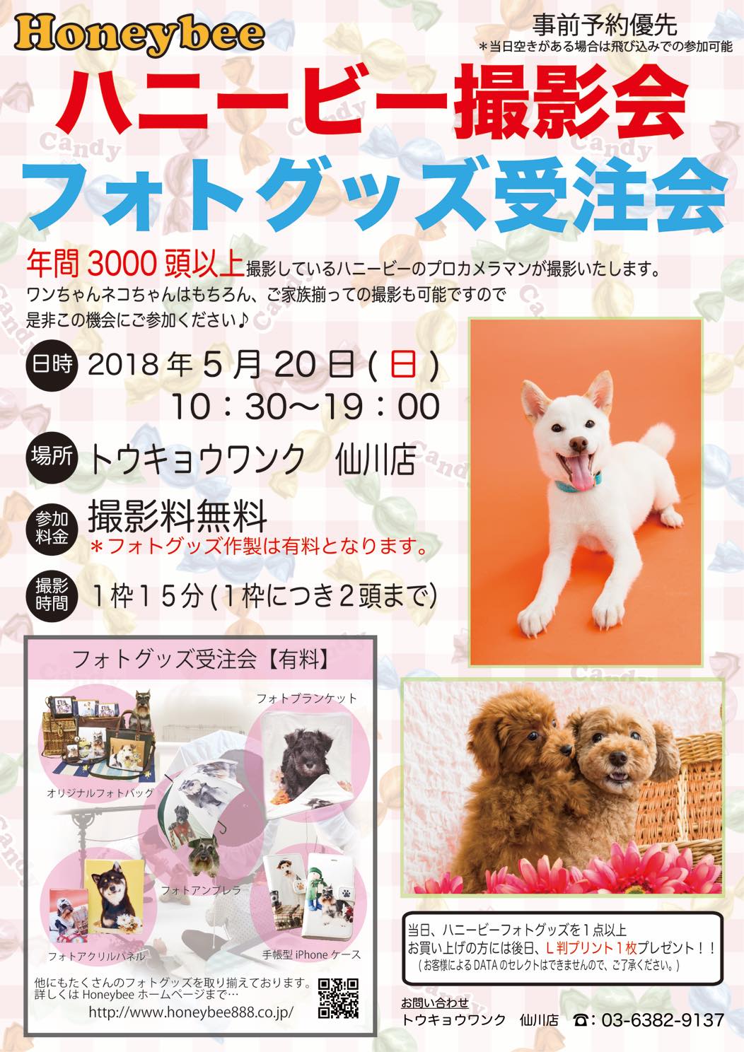 th_ハニービー撮影会_トウキョウワンク仙川店(5月)