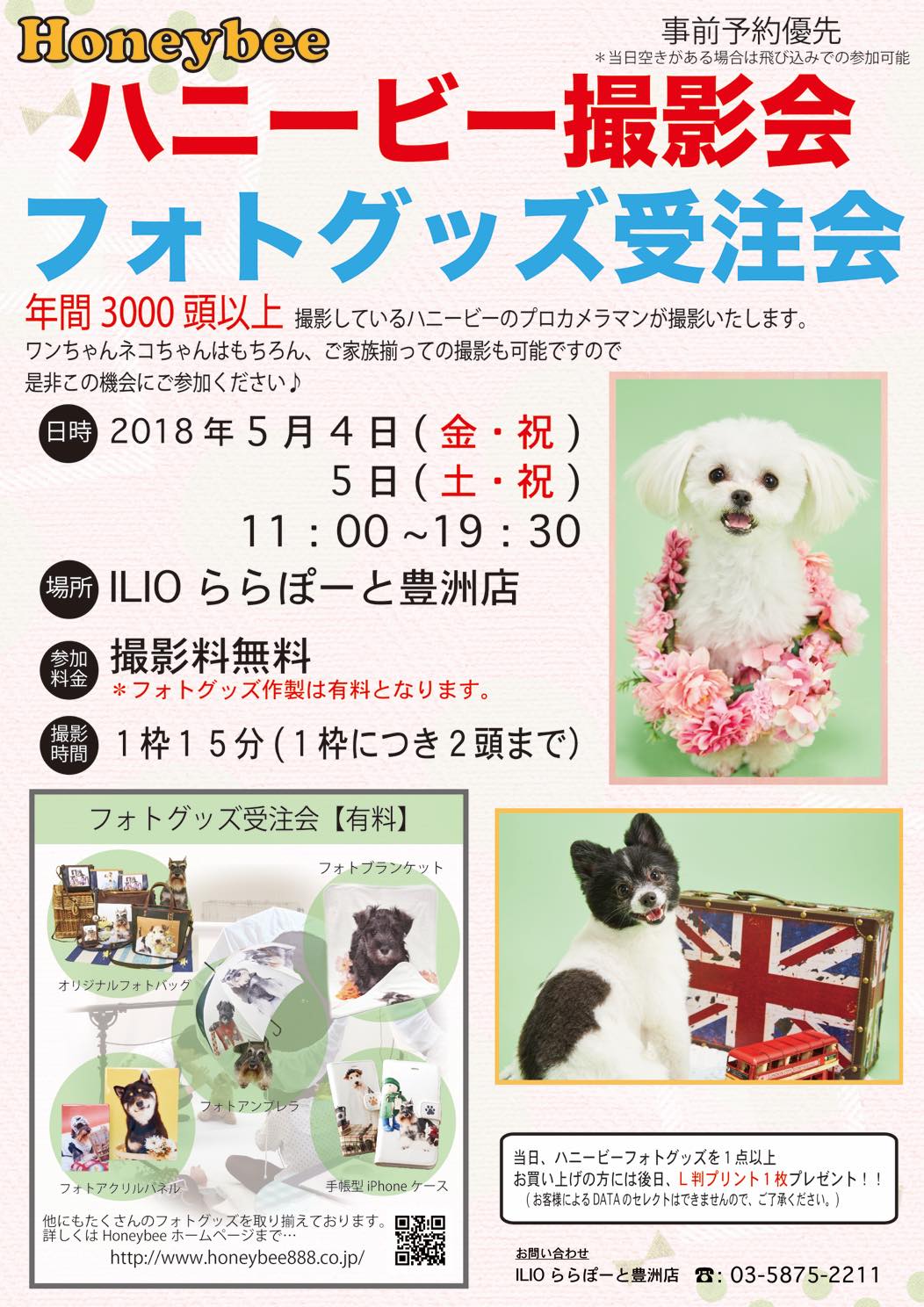 th_ハニービー撮影会_ILIOららぽーと豊洲(5月)
