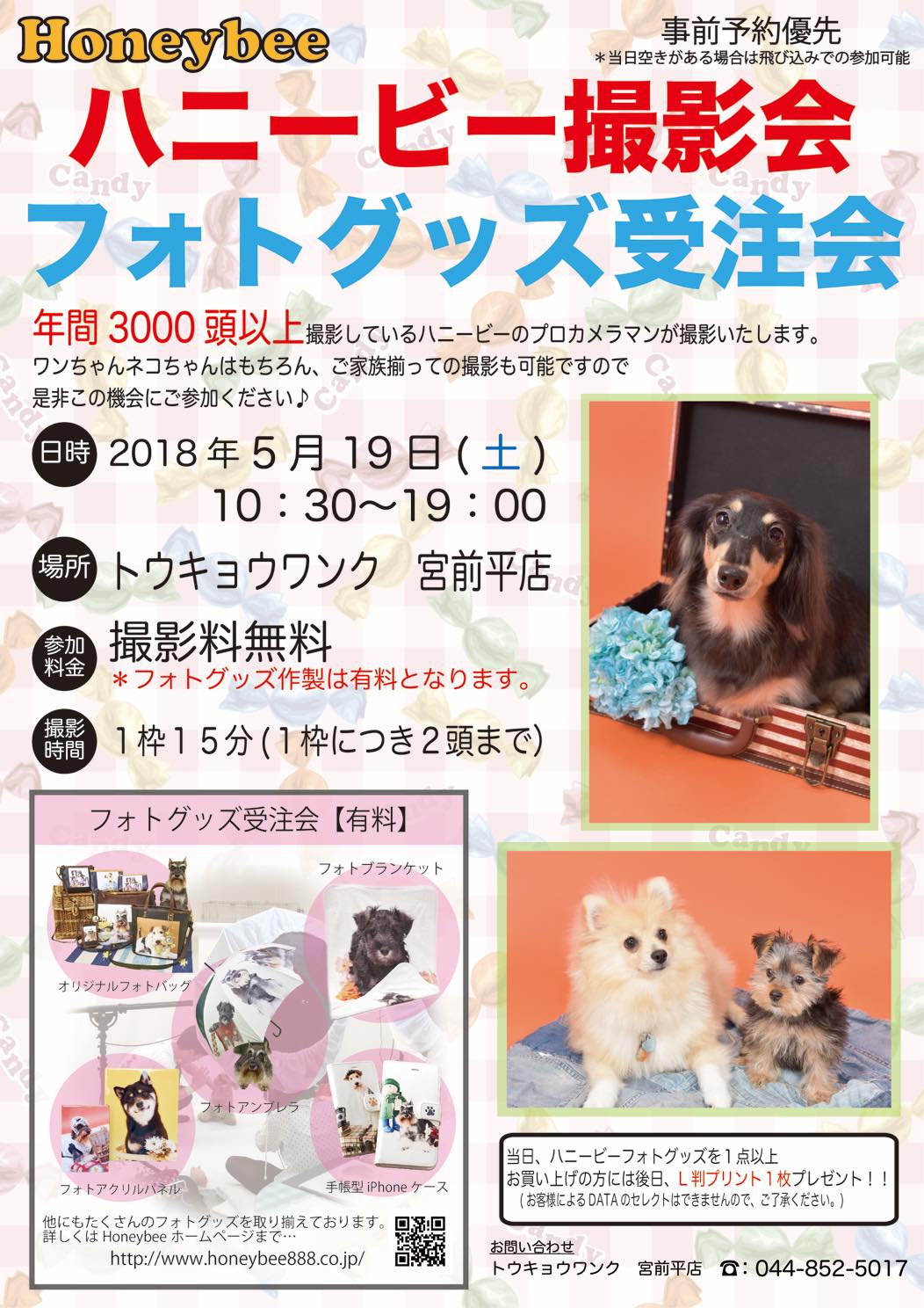 th_ハニービー撮影会_トウキョウワンク宮前平店(5月)