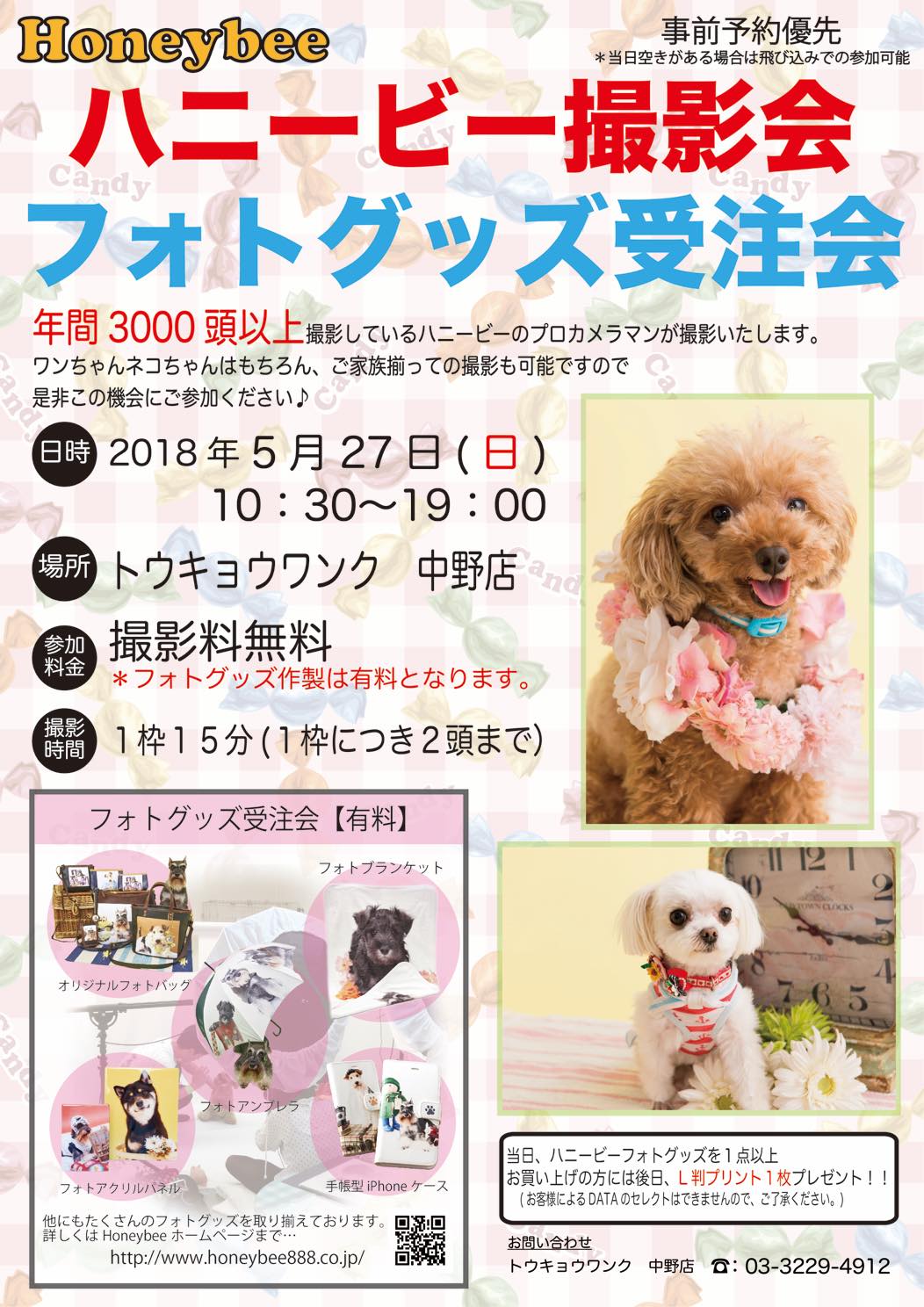 th_ハニービー撮影会_トウキョウワンク中野店(5月)