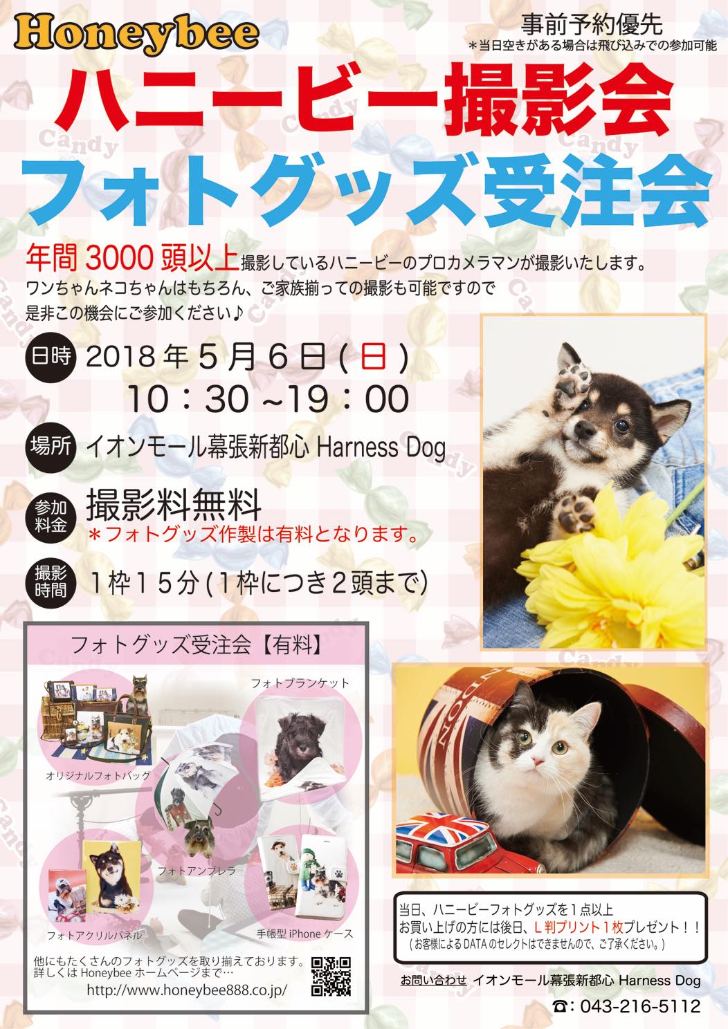 th_ハニービー撮影会_イオンモール幕張新都心Harness Dog(5月)