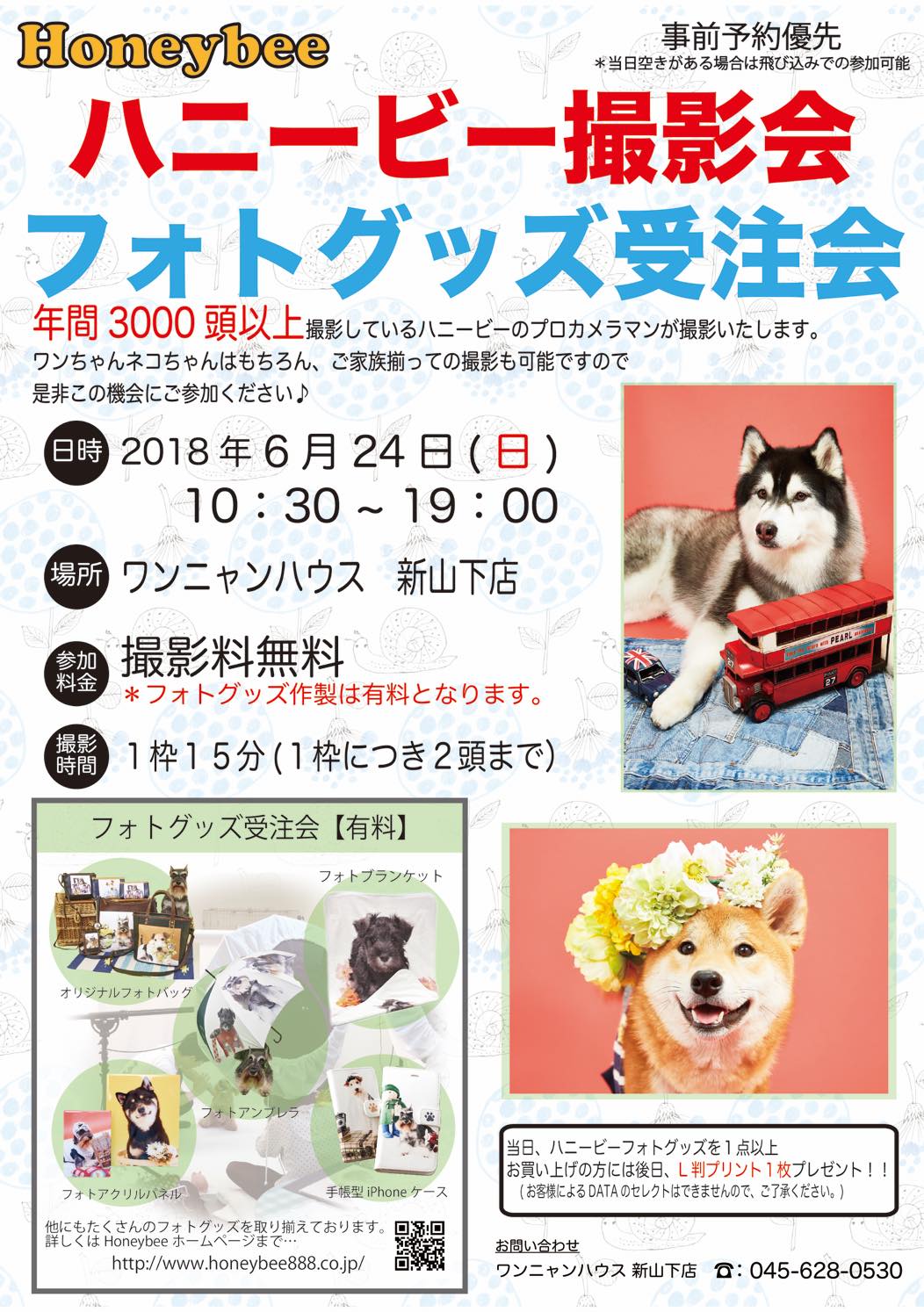 th_ハニービー撮影会_ワンニャンハウス新山下(6月)