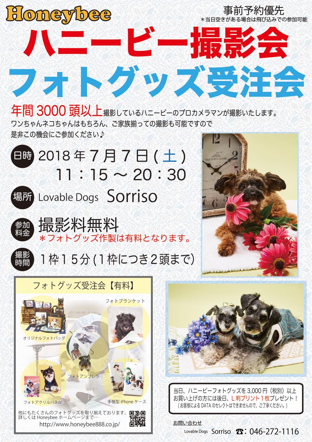 th_ハニービー撮影会_Sorriso(7月)