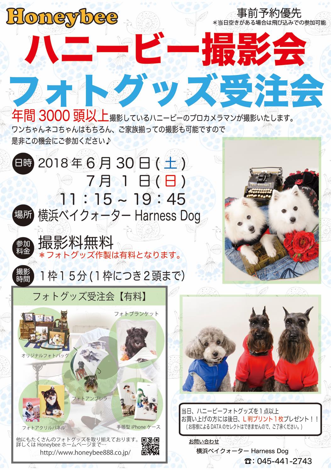 th_ハニービー撮影会_横浜ベイクォーターHarness Dog(7月)