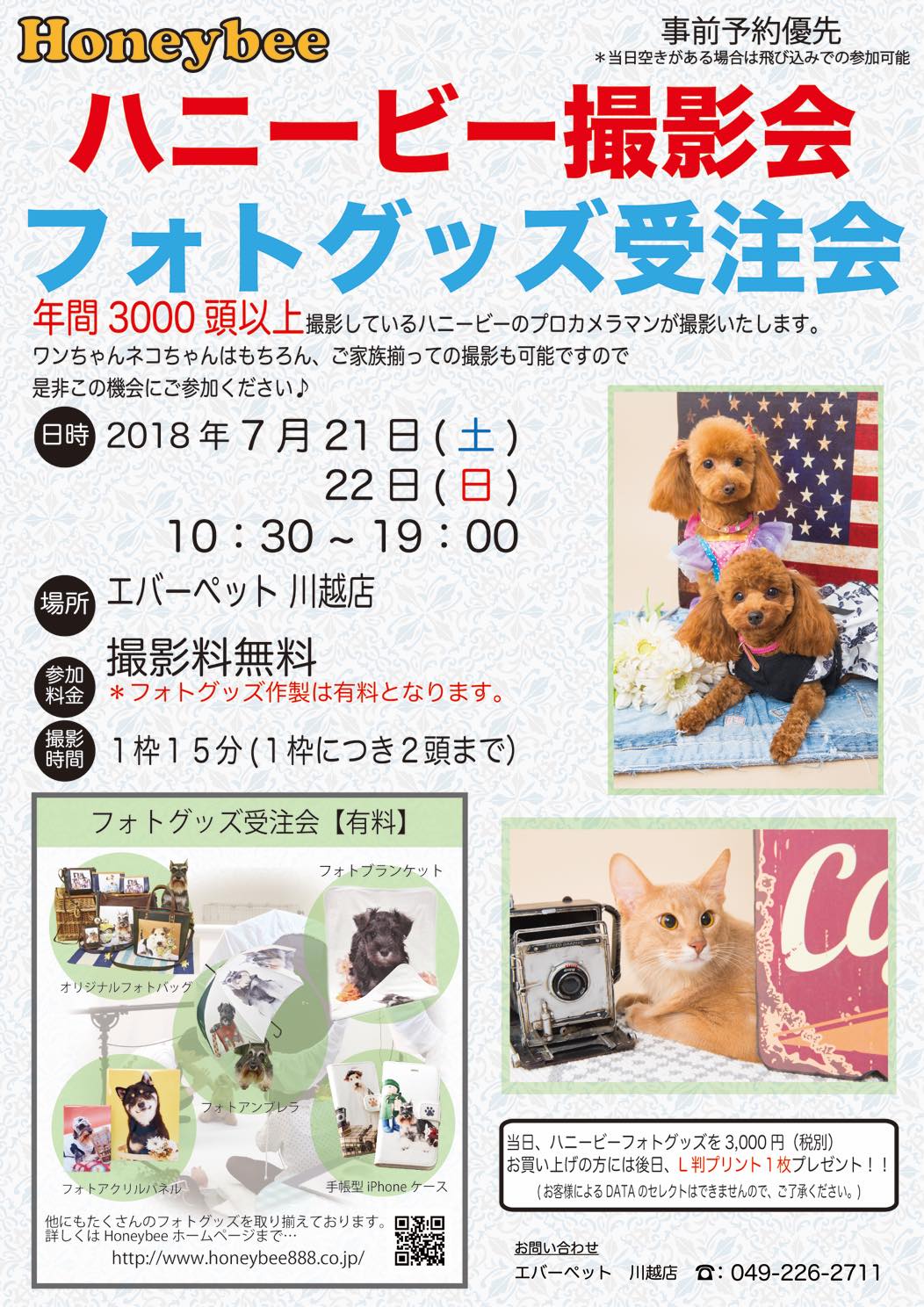 th_ハニービー撮影会_エバーペット川越店(7月)