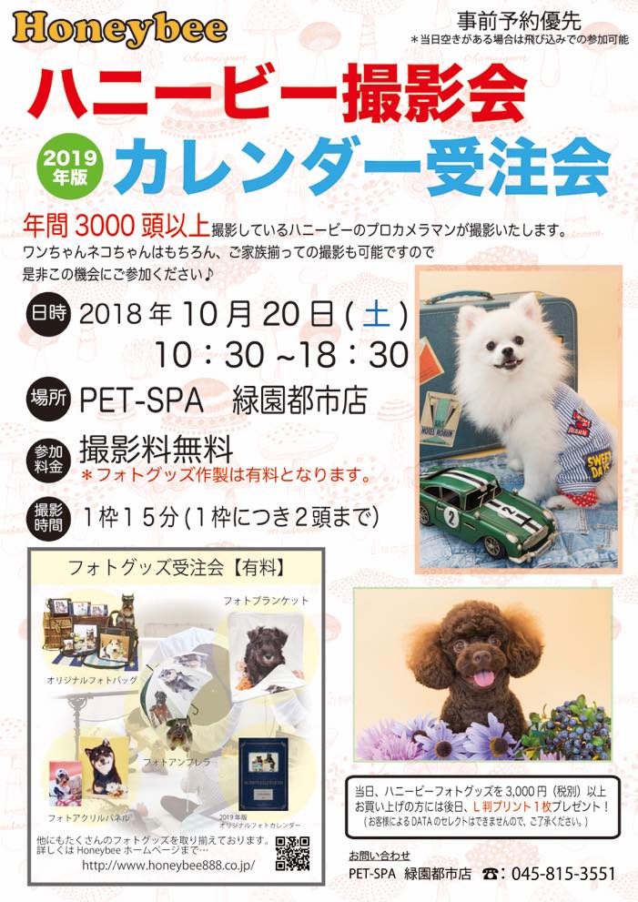 th_ハニービー撮影会_PET-SPA緑園都市店(10月)