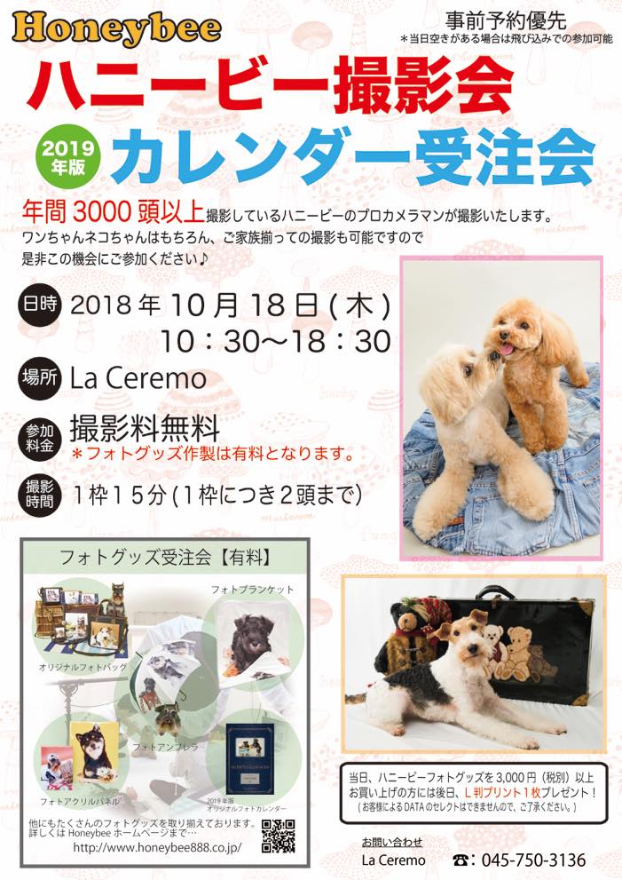 th_ハニービー撮影会_La Ceremo(10月)