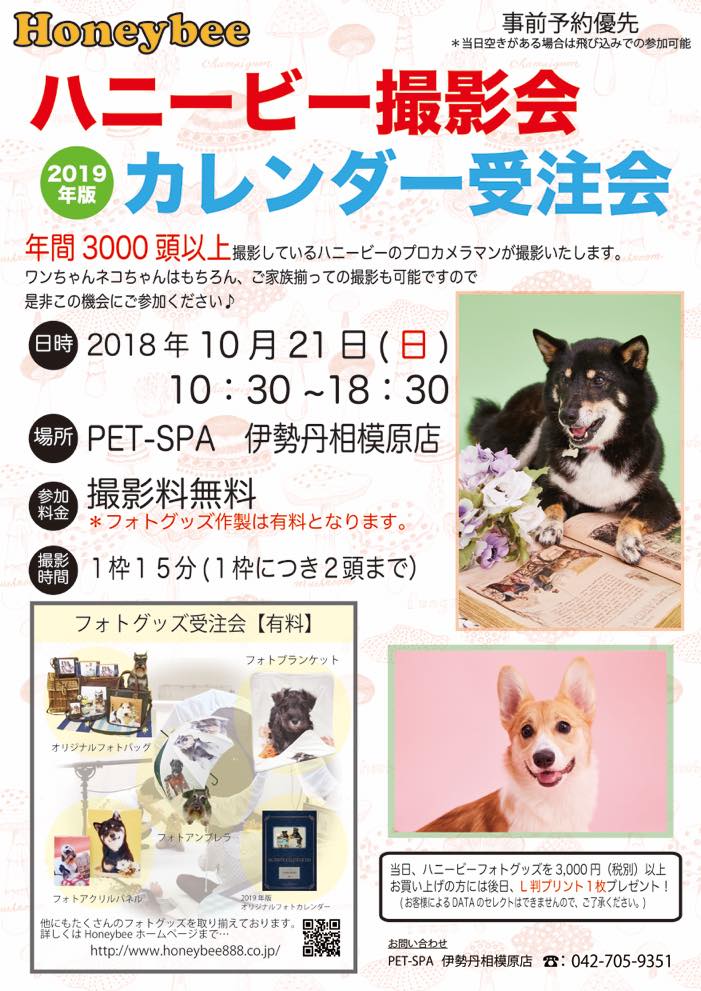 th_ハニービー撮影会_PET-SPA伊勢丹相模原店(10月)