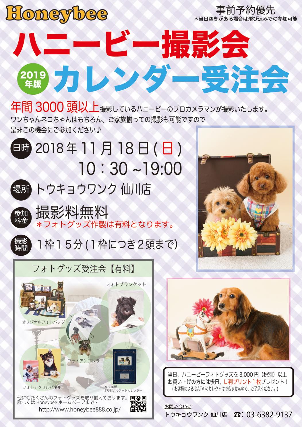 th_ハニービー撮影会_トウキョウワンク仙川店(11月)