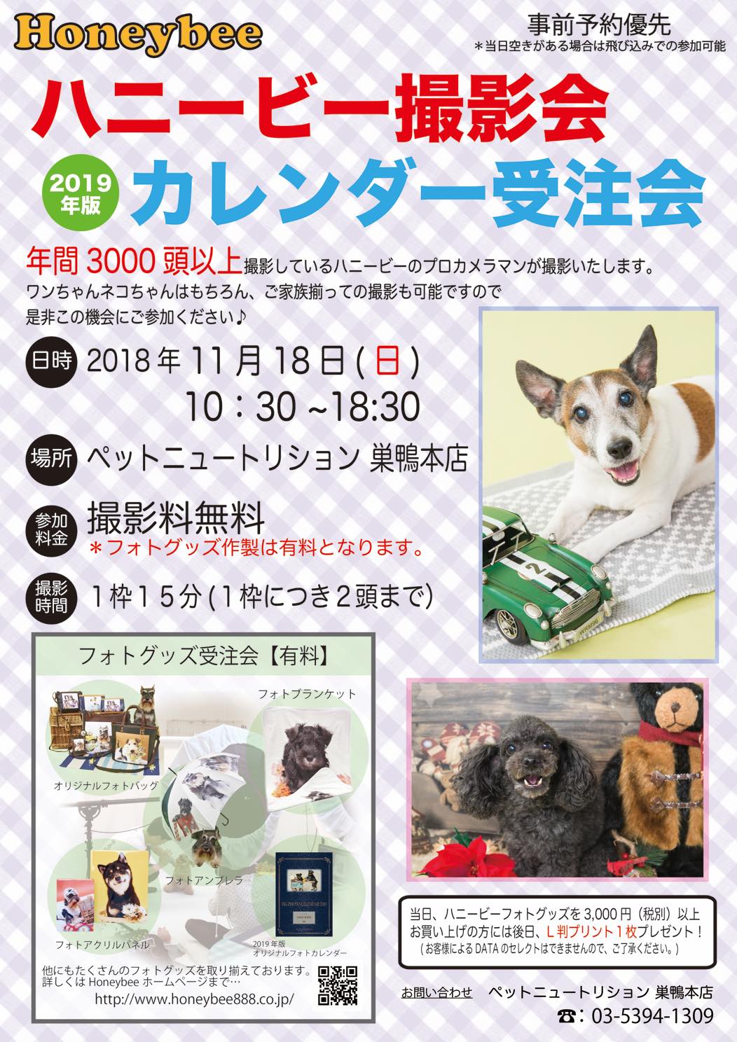th_ハニービー撮影会_ペットニュートリション巣鴨本店(11月)