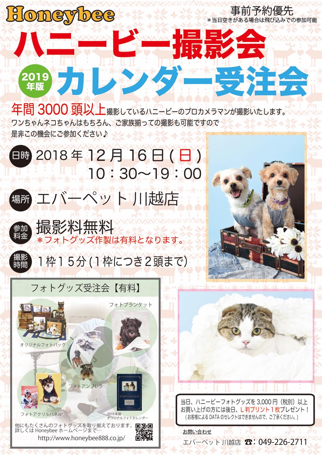 th_ハニービー撮影会_エバーペット川越店(12月)