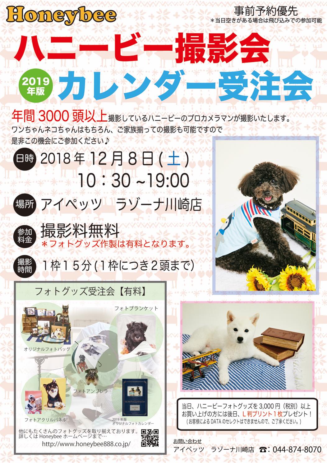 th_ハニービー撮影会_アイペッツラゾーナ川崎店(12月)