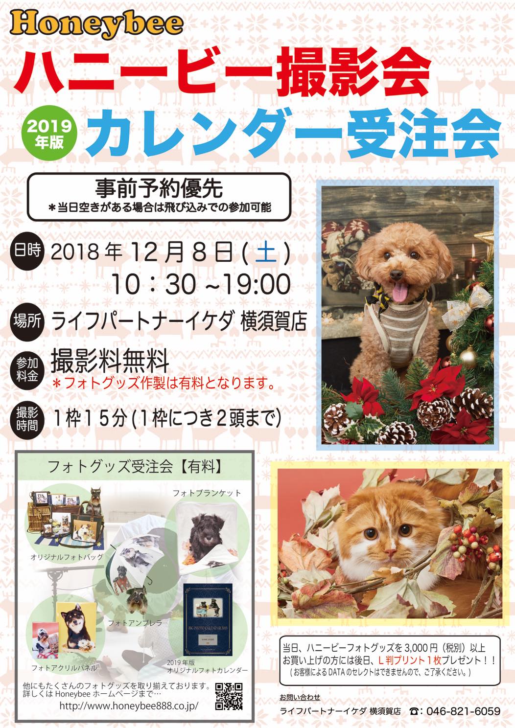 th_ハニービー撮影会_ライフパートナーイケダ横須賀店(12月)