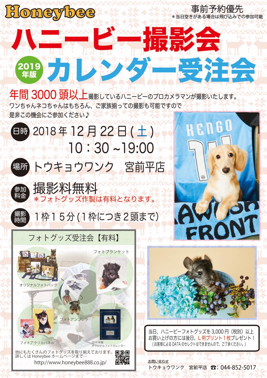 th_ハニービー撮影会_トウキョウワンク宮前平店(12月)