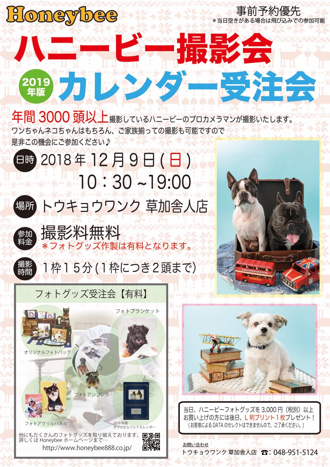 th_ハニービー撮影会_トウキョウワンク草加舎人店(12月)