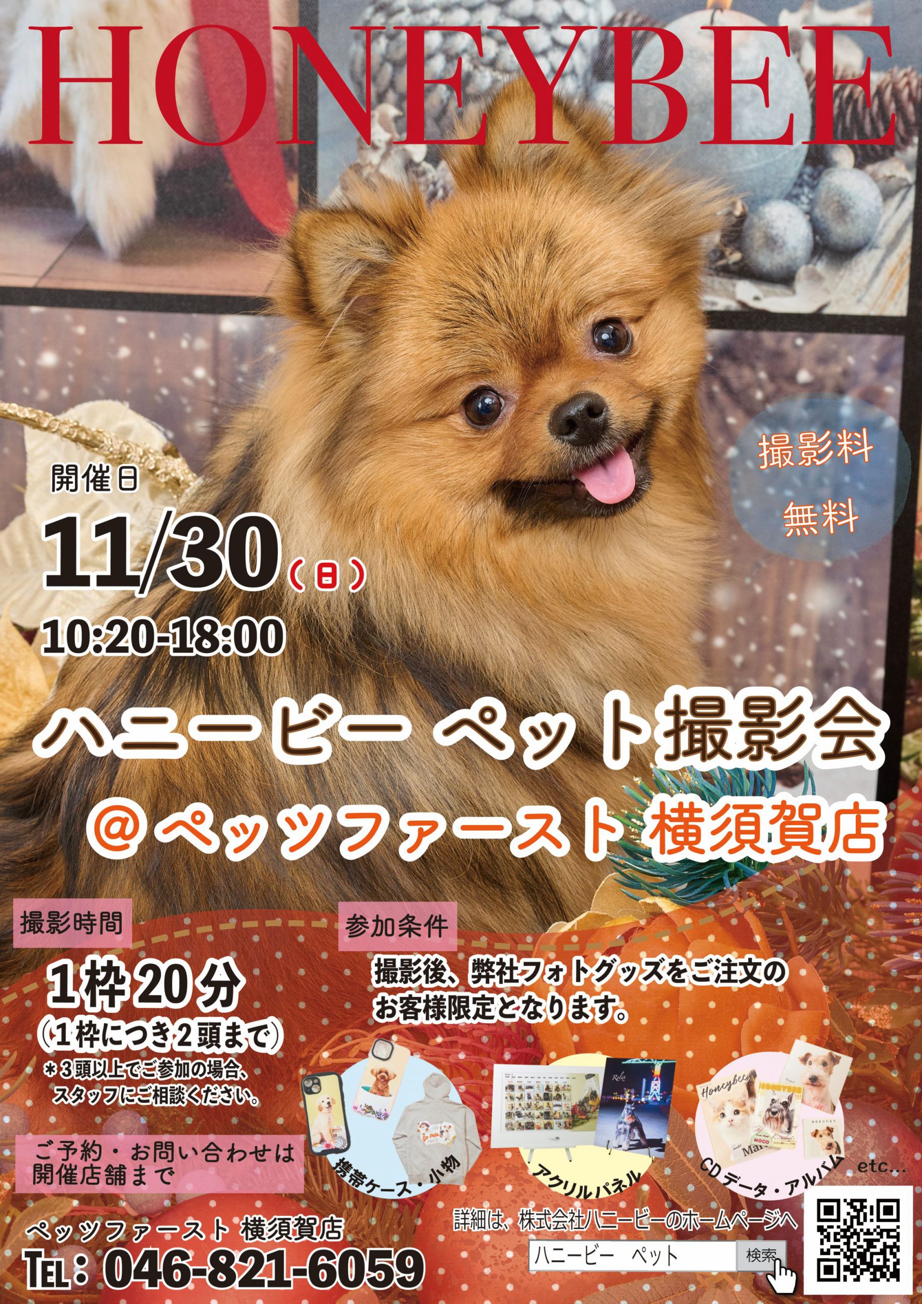 11月ハニービー撮影会＆2025年カレンダー受注会 in ペッツファースト